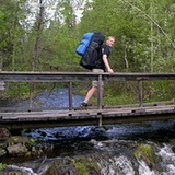 Bears trail - Porontimajoki - Stefan